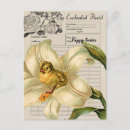 Buscar lirio de pascua postales Flor