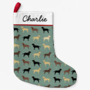 Buscar zorro rojo calcetines navideños Perros