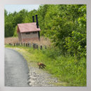 Buscar fotos de animales salvajes posters Vida silvestre