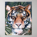 Buscar selva tropical posters Jungla