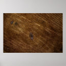 Buscar textura posters Superficie