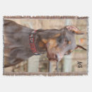 Buscar chucho casa hogar Canino