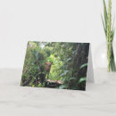 Buscar borneo tarjetas Primates
