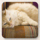 Buscar sofá posavasos Dentro