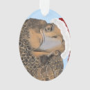 Buscar pájaros bonitos adornos General y unisex