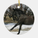 Buscar mustang adornos Nieve