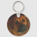 Buscar bullmastiff llaveros Lindo