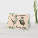 Buscar gatos de calicó tarjetas Felino