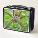 Buscar araña grande fotografía Espeluznante