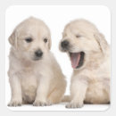 Buscar bostezo pegatinas Animal