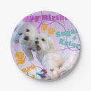 Buscar perro maltés decoracion Para mascotas