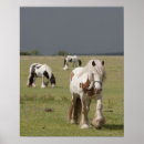 Buscar northumberland posters Al aire libre