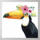 Buscar toucan arte Animal