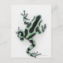 Buscar veneno postales Reptiles