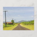 Buscar árbol frutal postales Huerto