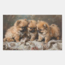 Buscar pomerania pegatinas Cachorro