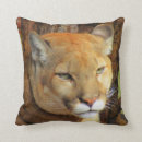 Buscar león de montaña cojines Cougar