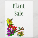 Buscar girasoles flyers Flores