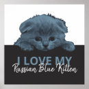 Buscar gato azul posters General y unisex