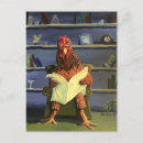 Buscar pollo postales 1 ᵉʳ hembra