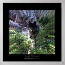 Buscar lupus de canis posters Fauna