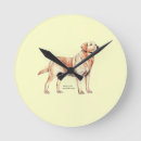 Buscar labrador retriever relojes de pared Cachorro