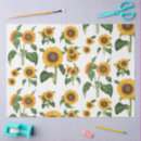 Buscar girasoles papel de seda Acuarela