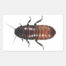 Buscar cucaracha pegatinas Espeluznante