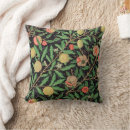 Buscar frutas cojines General y unisex