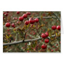 Buscar dorsal tarjetas Bayas