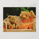 Buscar osos de peluche postales Animales rellenos