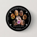 Buscar mascota chapas Perros
