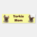 Buscar yorkshire pegatinas parachoque Terrier de yorkshire
