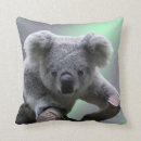 Buscar oso de koala cojines General y unisex