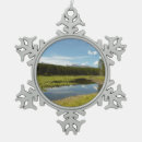 Buscar lago del cisne adornos Paisaje