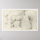 Buscar estudio de un caballo posters Dibujo