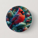 Buscar cardenales redondos pins Pájaro