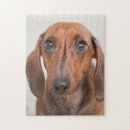 Buscar pequeño perro puzzles Dachshund