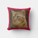 Buscar amortiguador del gato cojines General y unisex