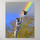 Buscar perseguir Gatito