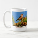 Buscar steve tazas Fauna