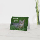 Buscar gato sonriente tarjetas Sonrisa