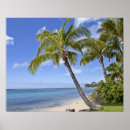 Buscar vacaciones de hawaii posters Palmera