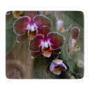 Buscar orquídeas tablas cortar Exótico