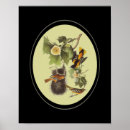 Buscar dibujo animal posters Pájaro