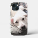 Buscar papá del perro iphone fundas Cachorro
