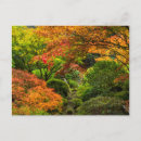 Buscar jardín oriental postales Caída