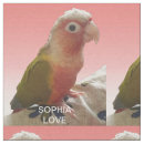 Buscar imágenes telas Moderno