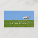 Buscar oveja tarjetas de visita General y unisex