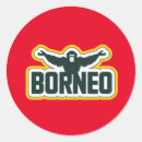 Buscar borneo Orangután